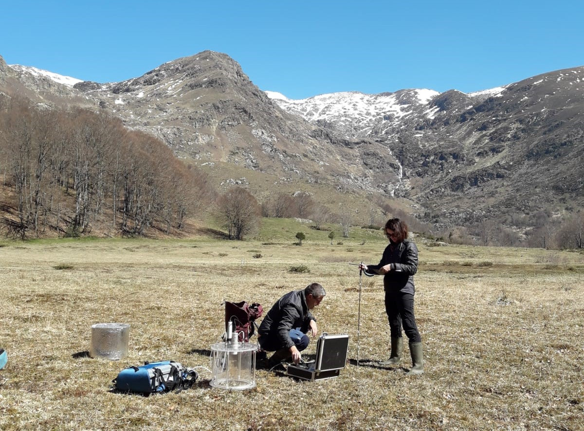 Christine Delire. Mesures d’échanges de GES (CO2/CH4) par chambre sur la tourbière de Bernadouze