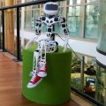 Sommes-nous prêts à cohabiter avec les robots ?