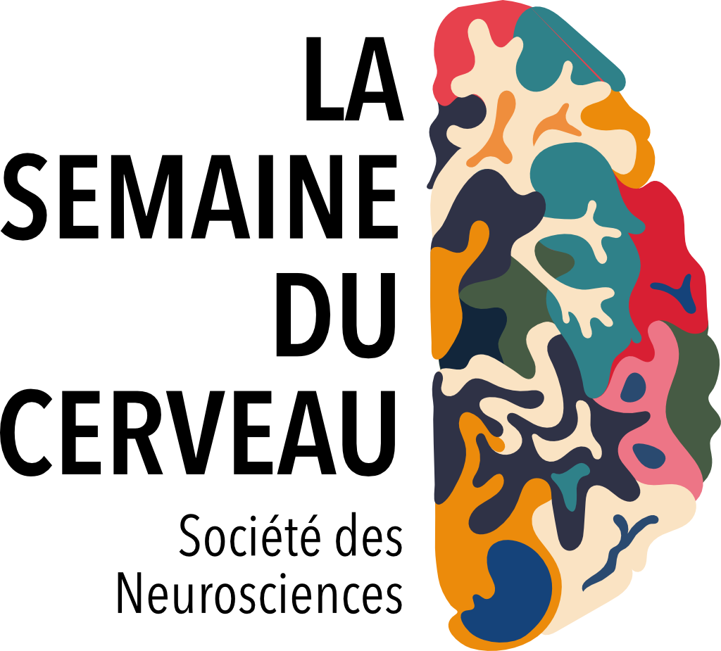 image semaine u cerveau