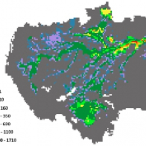 Représentation spatiale de la dénitrification totale en 2014 (kgN/ha) sur l'ensemble du bassin Amazonien