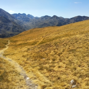 Effet de la sécheresse sur des estives dans les Pyrénées, août 2020. © CESBIO